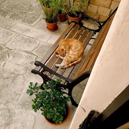 Ca Siemu Ferienhaus *