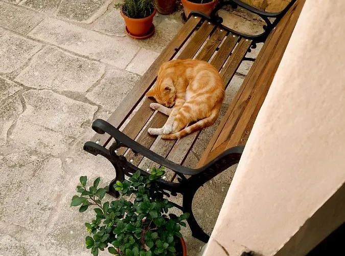 Ca Siemu Σπίτι διακοπών *